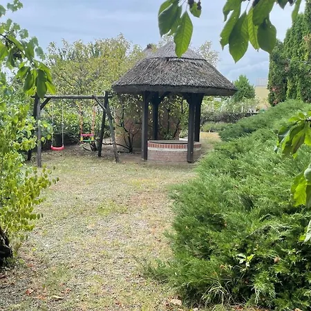 Csoda Ревфюлёп