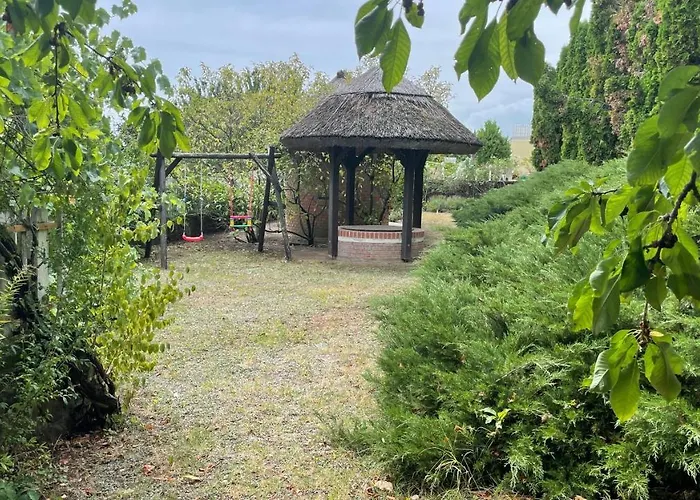 Csoda Ревфюлёп